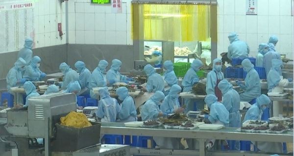 Индустрия готовой еды, праздник спорта, трудоустройство для всех, тысячелетние традиции – смотрите «Китайскую панораму»-225