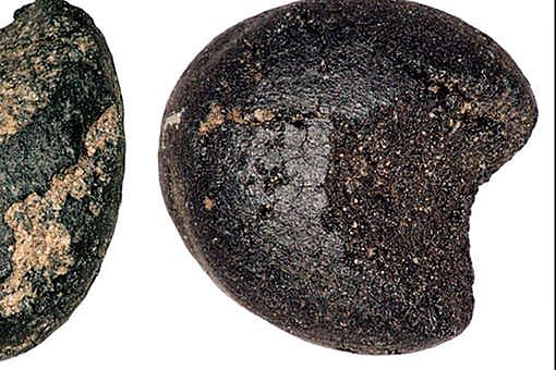 Археологи обнаружили самые древние зерна проса в Британии