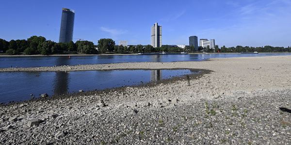 Река Рейн в Германии обмелела до самого низкого уровня с 2018 года
