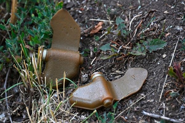 РИА «Новости»: на территории донецкой психбольницы нашли 66 противопехотных мин «Лепесток» 